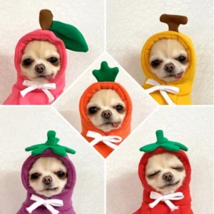 Quần áo cho chó mèo Ambaby